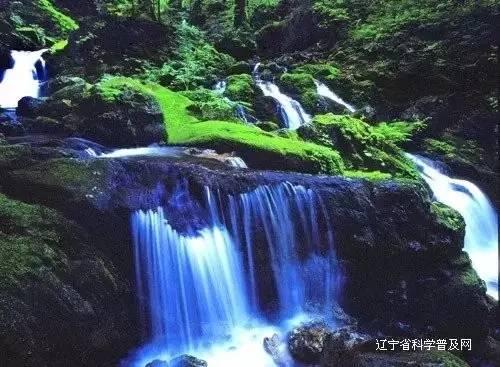 长方形的长和宽都是质数,周长为36厘米,那么长方形的面积是()平方厘米-发现并分享你的兴趣